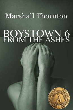 From the Ashes (Boystown #6)