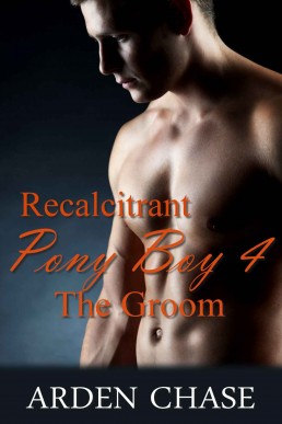 Recalcitrant Pony Boy 4: The Groom