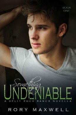 Something Undeniable (Split Rock Ranch 1)