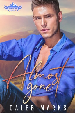 Almost Gone (Wingstead #1)