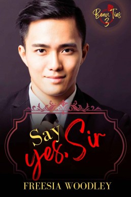 Say Yes, Sir (Beau Ties 3)