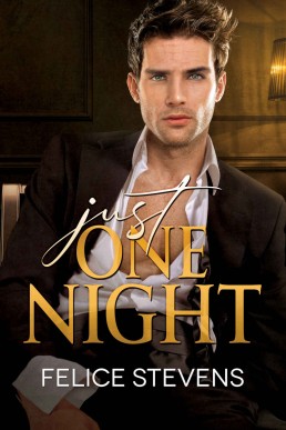 Just One Night: A Billionaire/Escort Gay Romance