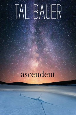 Ascendent (Executive Power Book 1)