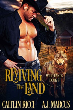 Reviving the Land (Wild Lands Book 3)