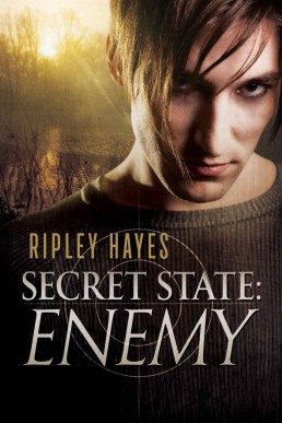 Secret State: Enemy: MM Suspense