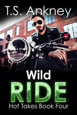 Wild Ride: A Steamy MM Romance Novella (Hot Takes Book 4)