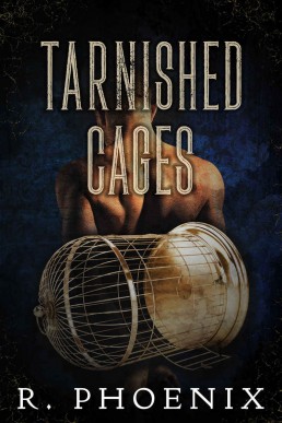 Tarnished Cages (Gilded Cages #2)