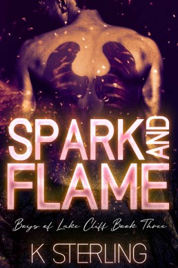 Spark and Flame (Boys Of Lake Cliff Book 3)