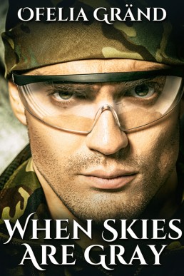 When Skies Are Gray (Up North #3)