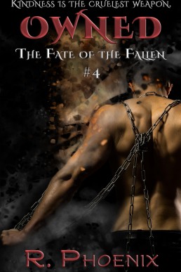 Owned (The Fate of the Fallen #4)