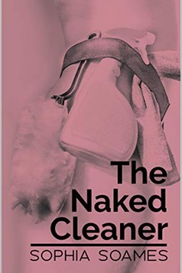 The Naked Cleaner