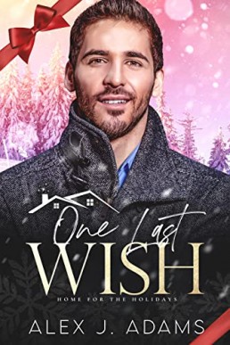 One Last Wish (Home for the Holidays Book 8)