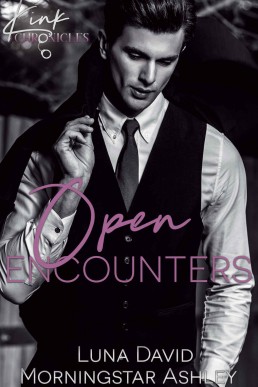 Open Encounters (Kink Chronicles Book 2)