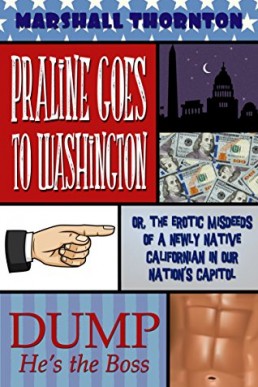 Praline Goes to Washington (Perils of Praline 2)