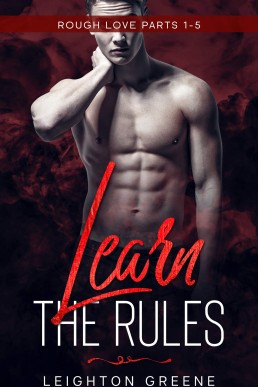 Learn the Rules (Rough Love Series Part 1 Book 1-5)