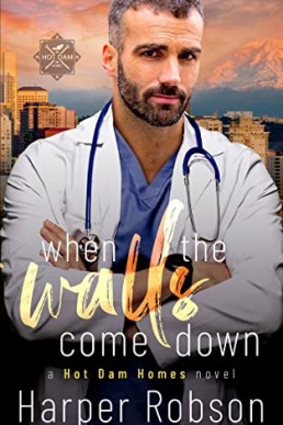 When the Walls Come Down (Hot Dam Homes #2)