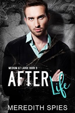 After Life (Medium at Large Book 5)