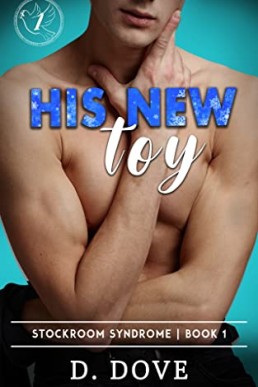 His New Toy (Stockroom Syndrome Book 1)