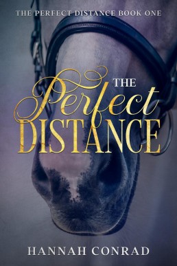 The Perfect Distance (Fantasy Unleashed: The Perfect Distance #1)