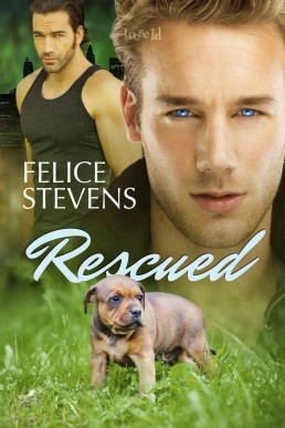 Rescued (Rescued Hearts Book 1, 2014 Ed.)