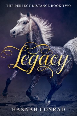 Legacy (Fantasy Unleashed: The Perfect Distance #2)