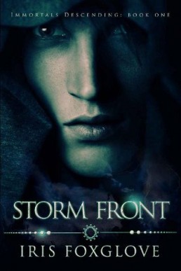 Storm Front (Immortals Descending Book 1)