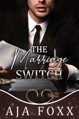 The Marriage Switch (Marriage Mayhem #3)