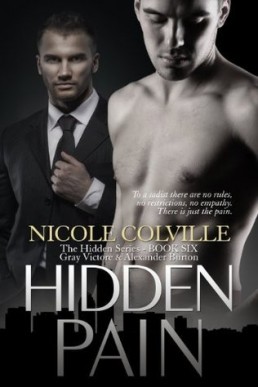 Hidden Pain (The Hidden Series Book 6)