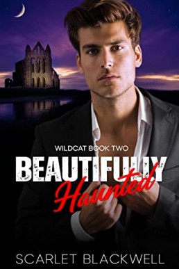 Beautifully Haunted (The Wildcat Books #2)