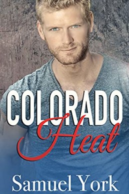 Colorado Heat (Colorado Protectors Book 8)