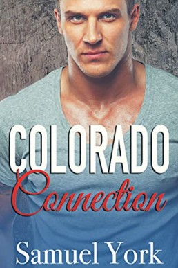 Colorado Connection (Colorado Protectors Book 6)