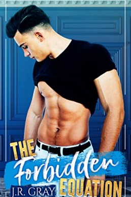 The Forbidden Equation (Love Equations #3)