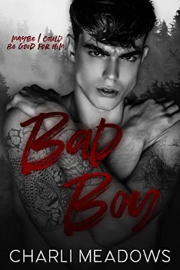 Bad Boy (The Loyal Boys #2)