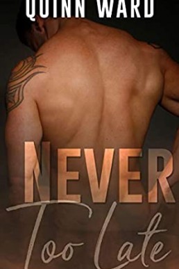 Never Too Late (Home in the Heartland, Book 1)