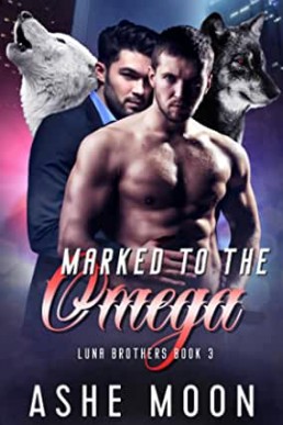 Marked to the Omega (Luna Brothers Book 3)