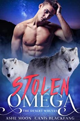 Stolen Omega (The Desert Wolves #1)