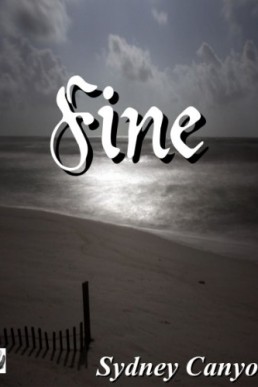 Fine