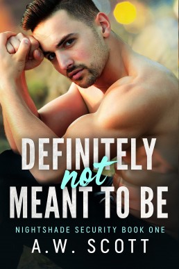 Definitely Not Meant to Be (NightShade Security #1)