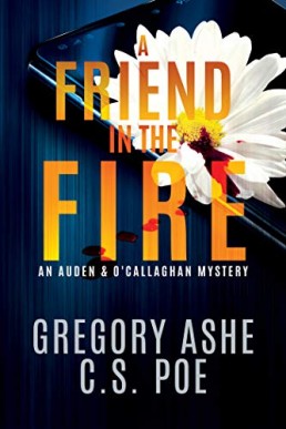 A Friend in the Fire (An Auden & O'Callaghan Mystery Book 2)