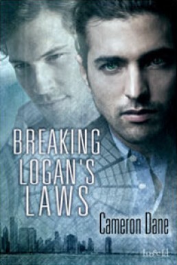 Breaking Logan's Laws (Quinn's Security #4)