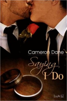 Saying I Do (Quinn Scurity #3)