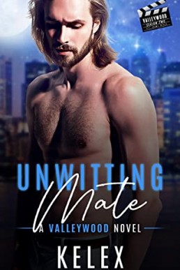 Unwitting Mate (Valleywood 17, multi-author)