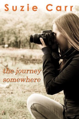 The Journey Somewhere (Tangerine Twist #2)