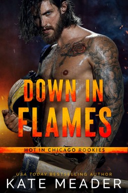 Down in Flames (Hot in Chicago Rookies #2)