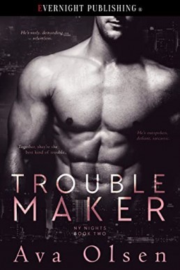 Troublemaker (NY Nights 2)