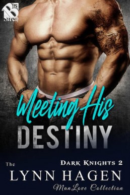 Meeting His Destiny (Dark Knights 2)