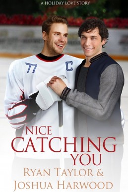 Nice Catching You (Bethesda Barracudas Hockey #1)