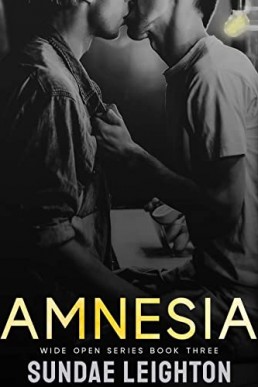 Amnesia (Wide Open #3)