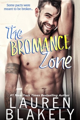 The Bromance Zone  (The Good Guys #1)