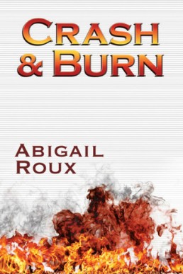 Crash & Burn (Cut & Run 9)